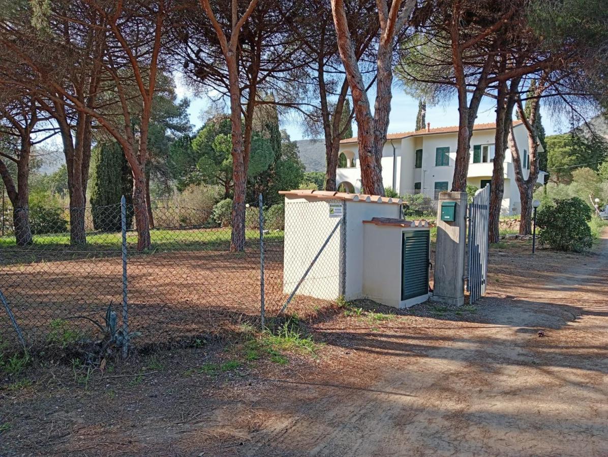 Riccio Di Mare Holiday home Lacona
