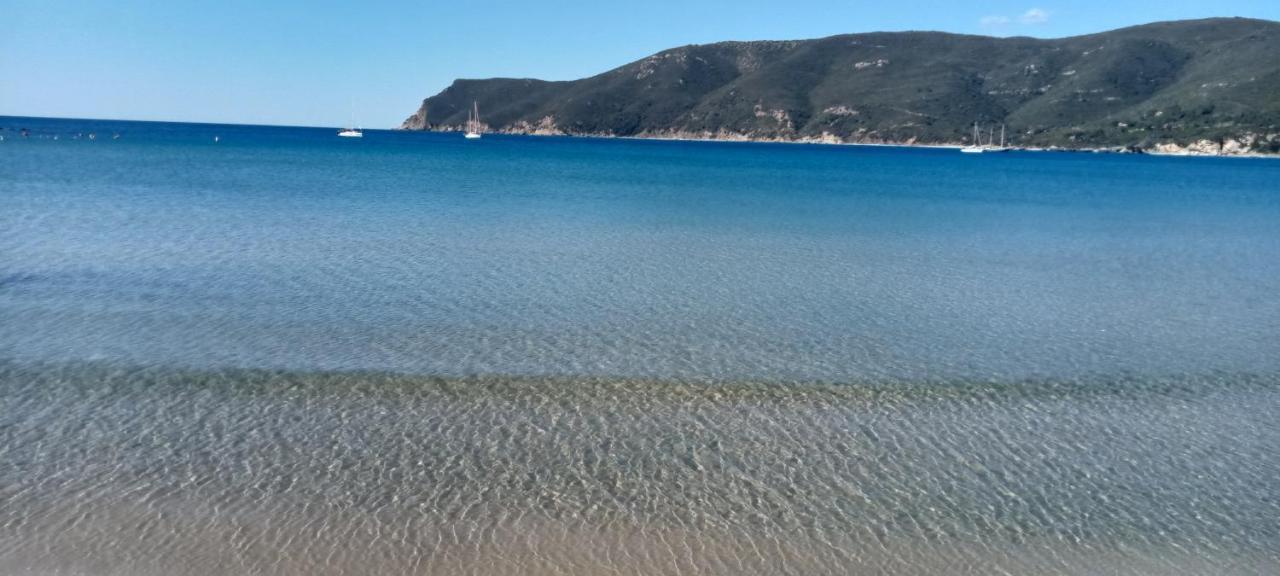 Riccio Di Mare
