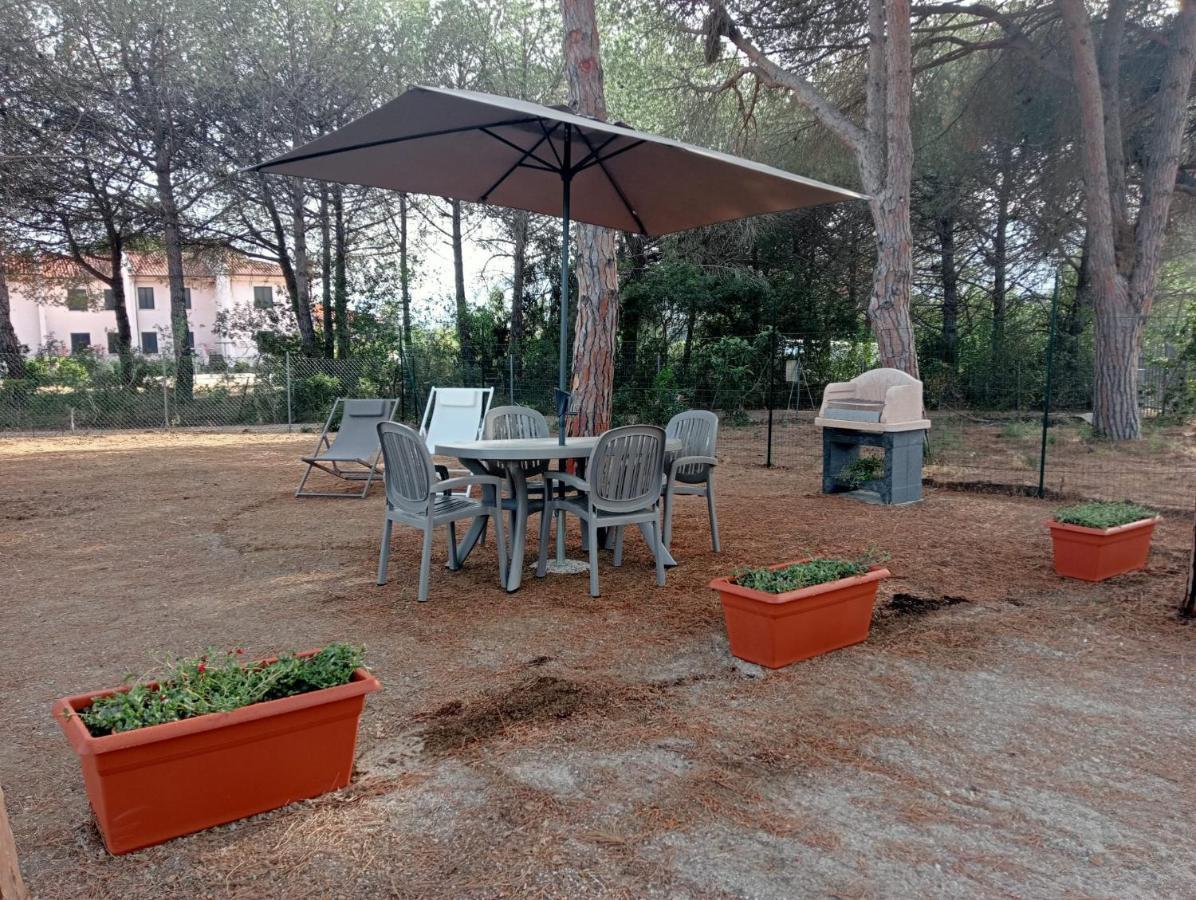 Holiday home Riccio Di Mare
