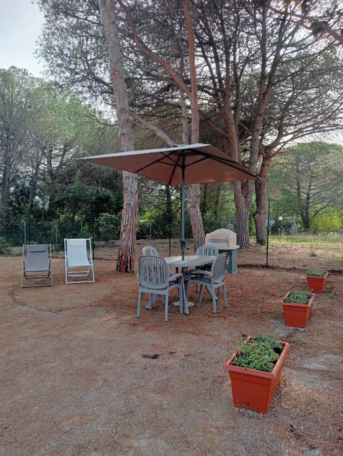 Holiday home Riccio Di Mare